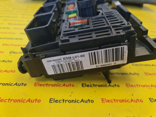 Panou sigurante Peugeot 407, 9661682580, S118983001O,