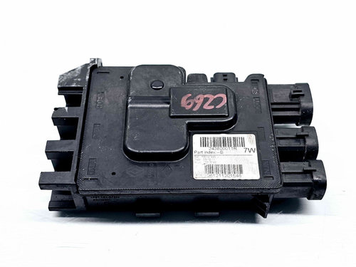 Panou sigurante Renault Scenic 3 [Fabr 2009-2015] 243800011R