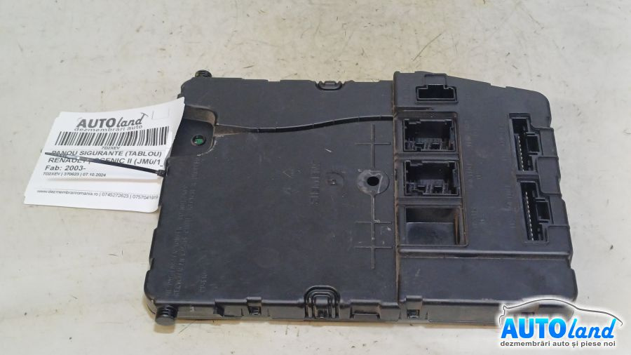 Panou Sigurante tablou 8200606824 Renault SCENIC II JM0/1 2003