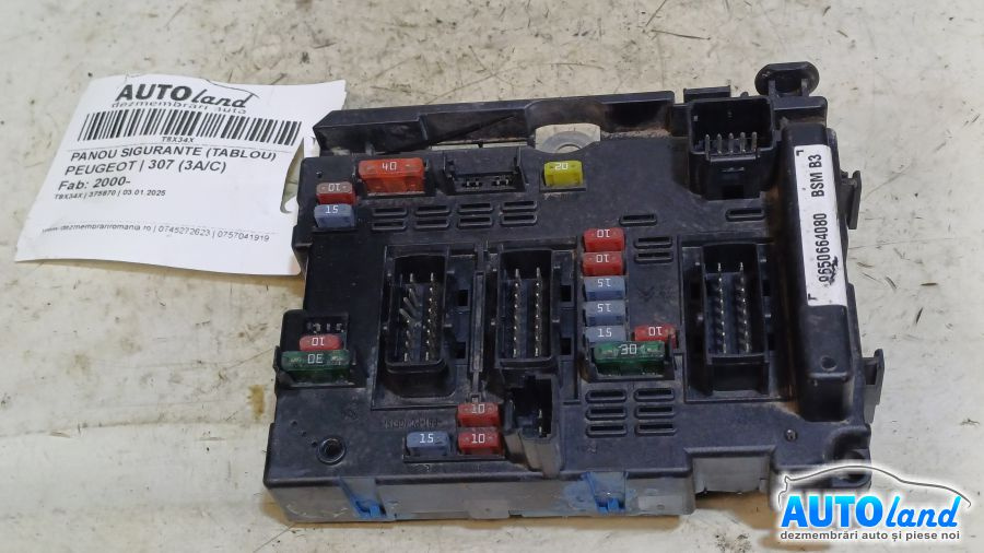 Panou Sigurante tablou 9650664080 Peugeot 307 3A/C 2000