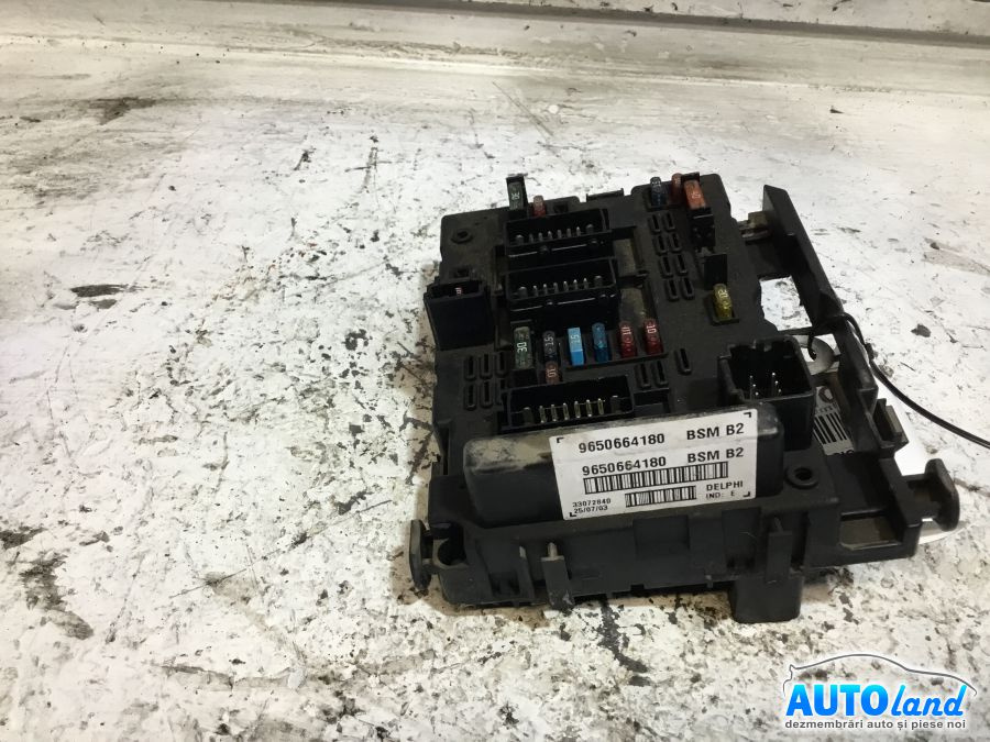Panou Sigurante tablou 9650664180 Bsm Peugeot 206 hatchback 2A/C 1998