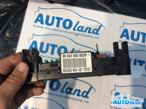 Panou Sigurante tablou 96640590800r 1.6 HDI-bsi Citroen C4 Grand Picasso UA 2006