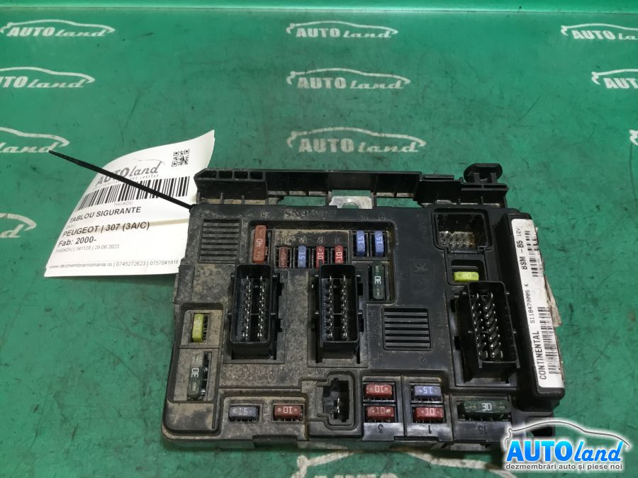 Panou Sigurante tablou Bsm Peugeot 307 3A/C 2000