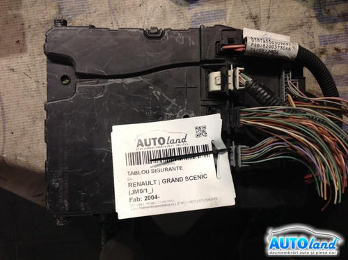 Panou Sigurante tablou S118422652d Bsi-8200309691 Renault GRAND SCENIC JM0/1 2004