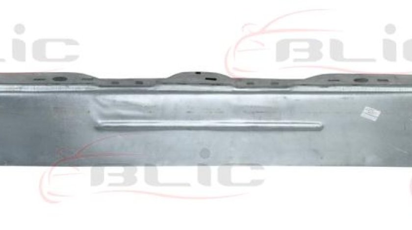 Panou spate MERCEDES-BENZ SPRINTER 35-t Autobus 906 Producator BLIC 6503-05-3548681P