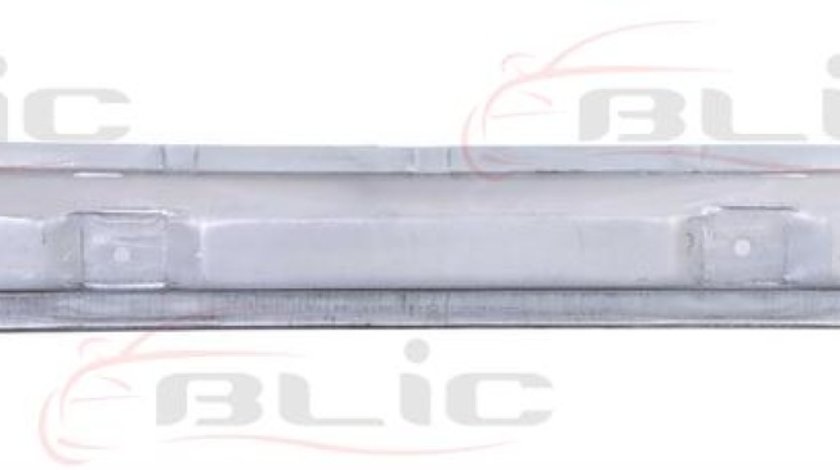 Panou spate MERCEDES-BENZ SPRINTER 5-t nadwozie pe³ne 906 Producator BLIC 6503-05-3548680P
