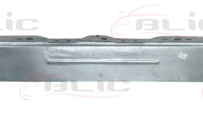 Panou spate MERCEDES-BENZ SPRINTER 5-t nadwozie pe³ne 906 Producator BLIC 6503-05-3548681P