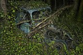 Paradise parking