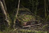 Paradise parking