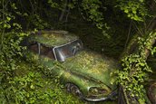Paradise parking