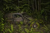 Paradise parking