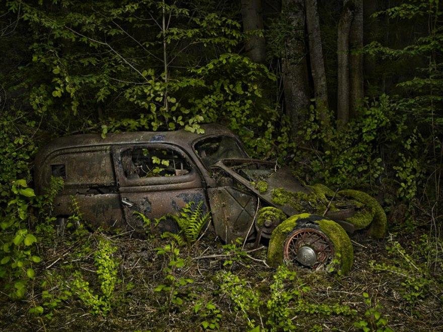 Paradise parking