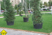 Parcul Tiriac Auto 2005