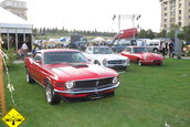 Parcul Tiriac Auto 2005