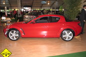 Parcul Tiriac Auto 2005