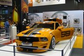 Paris Tuning Show 2007