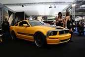 Paris Tuning Show 2007