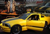 Paris Tuning Show 2007