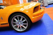 Paris Tuning Show 2007