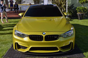 Pebble Beach 2013: BMW M4 Concept