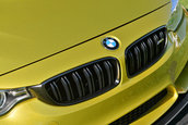 Pebble Beach 2013: BMW M4 Concept