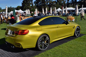 Pebble Beach 2013: BMW M4 Concept