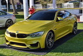 Pebble Beach 2013: BMW M4 Concept