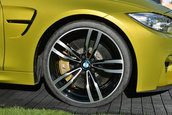 Pebble Beach 2013: BMW M4 Concept