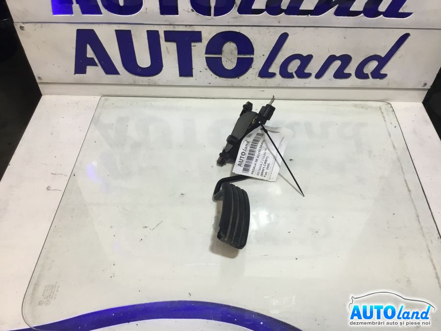 Pedala de Acceleratie 1.5 DCI Renault CLIO III BR0/1,CR0/1 2005