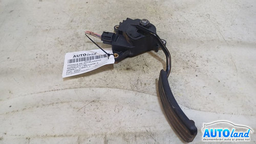 Pedala de Acceleratie 8200153268 2.0 Diesel Renault MEGANE II BM0/1 ,CM0/1 2002