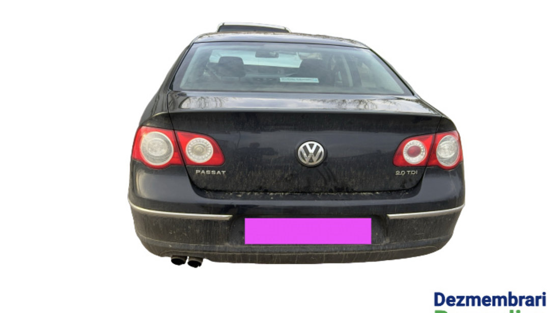Perie exterior geam usa spate stanga Volkswagen VW Passat B6 [2005 - 2010] Sedan 4-usi 2.0 TDI MT (140 hp) Cod motor: CBAB Cod cutie: KNS Cod culoare: LC9X