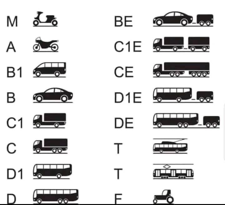 PERMIS DE CONDUCERE