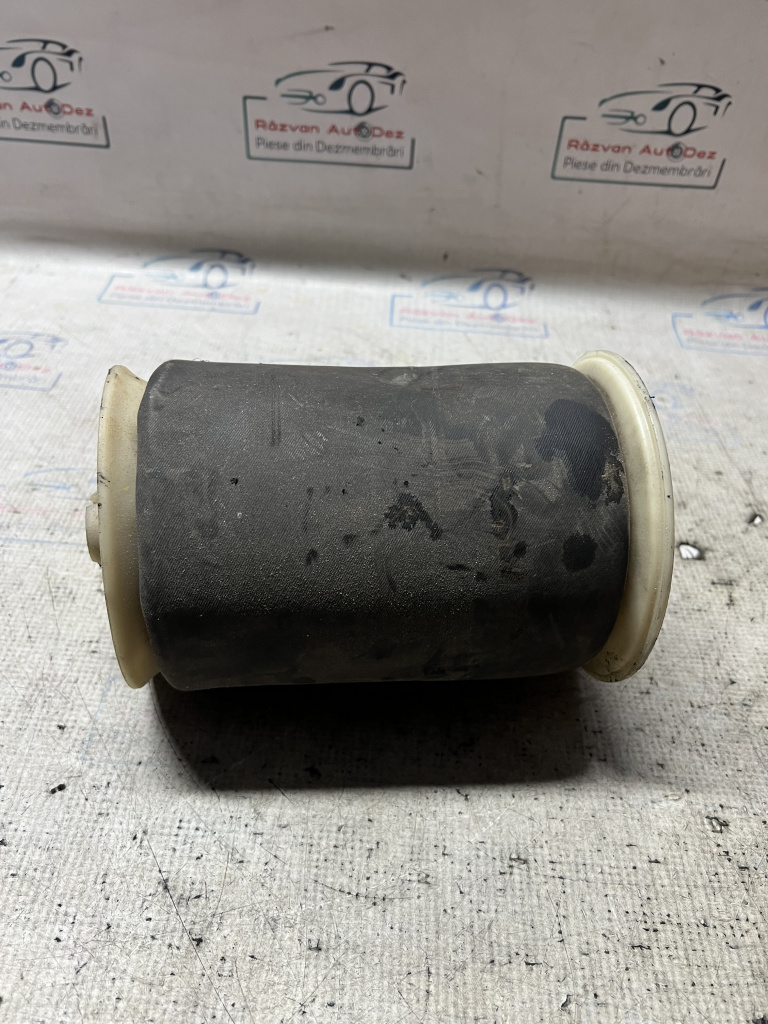 Pernă aer dreapta spate BMW X5 2008, 679008001