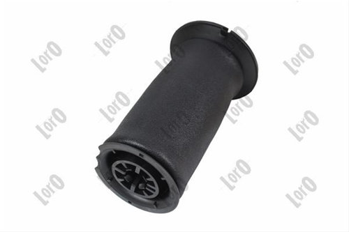 Perna Aer Sp St/dr Loro Bmw 131-02-107