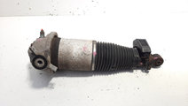 Perna aer stanga spate, cod 7L8616019A, Audi Q7 (4...