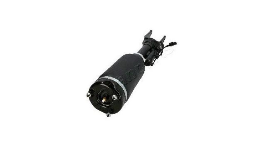 Perna aer suspensie pneumatica Mercedes R-CLASS (W251, V251) 2006-2016 #2 2513203013