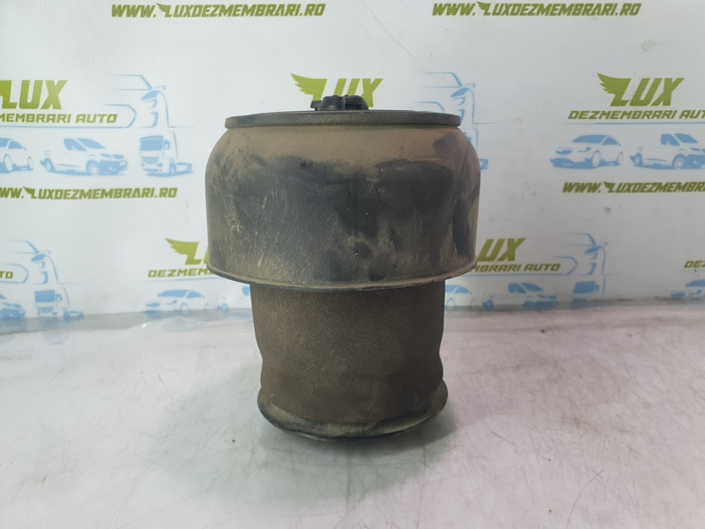 Perna de aer suspensie spate BMW X6 F16 [2014 - 2020] M50D 3.0 D N57D30C