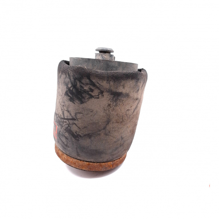 Perna Suspensie Spate BMW X5 (E53) 1999 - 2006 37121095579, 37.12-1 095 579