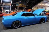 Petty Blue  Dodge Challenger SRT8