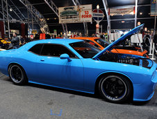 Petty Blue  Dodge Challenger SRT8