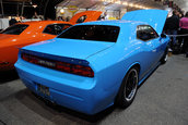 Petty Blue  Dodge Challenger SRT8