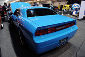 Petty Blue  Dodge Challenger SRT8