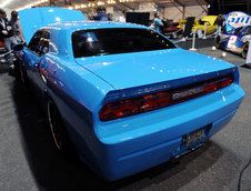 Petty Blue  Dodge Challenger SRT8