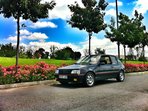 Peugeot 205 GTI/1,9/The PUG