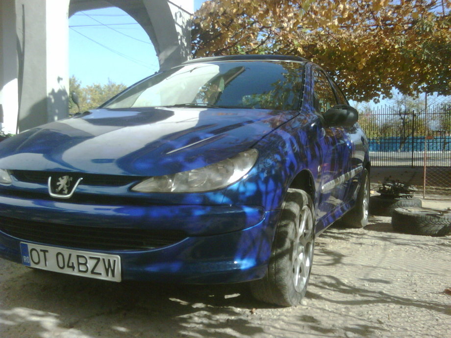 Peugeot 206 1.1