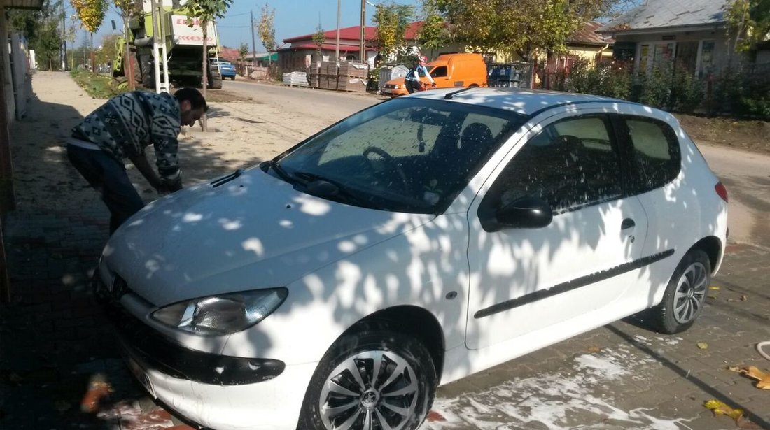 Peugeot 206 1.124 2001