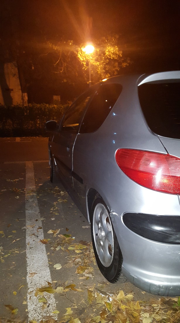 Peugeot 206 1.4i 55kw 2001