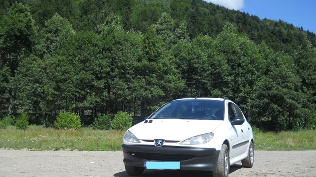 Peugeot 206 1.9 D sdi 2001