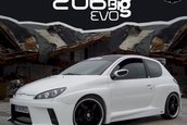 Peugeot 206 Big Evo by MTK/Pam Tuning