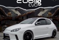 Peugeot 206 Big Evo by MTK/Pam Tuning
